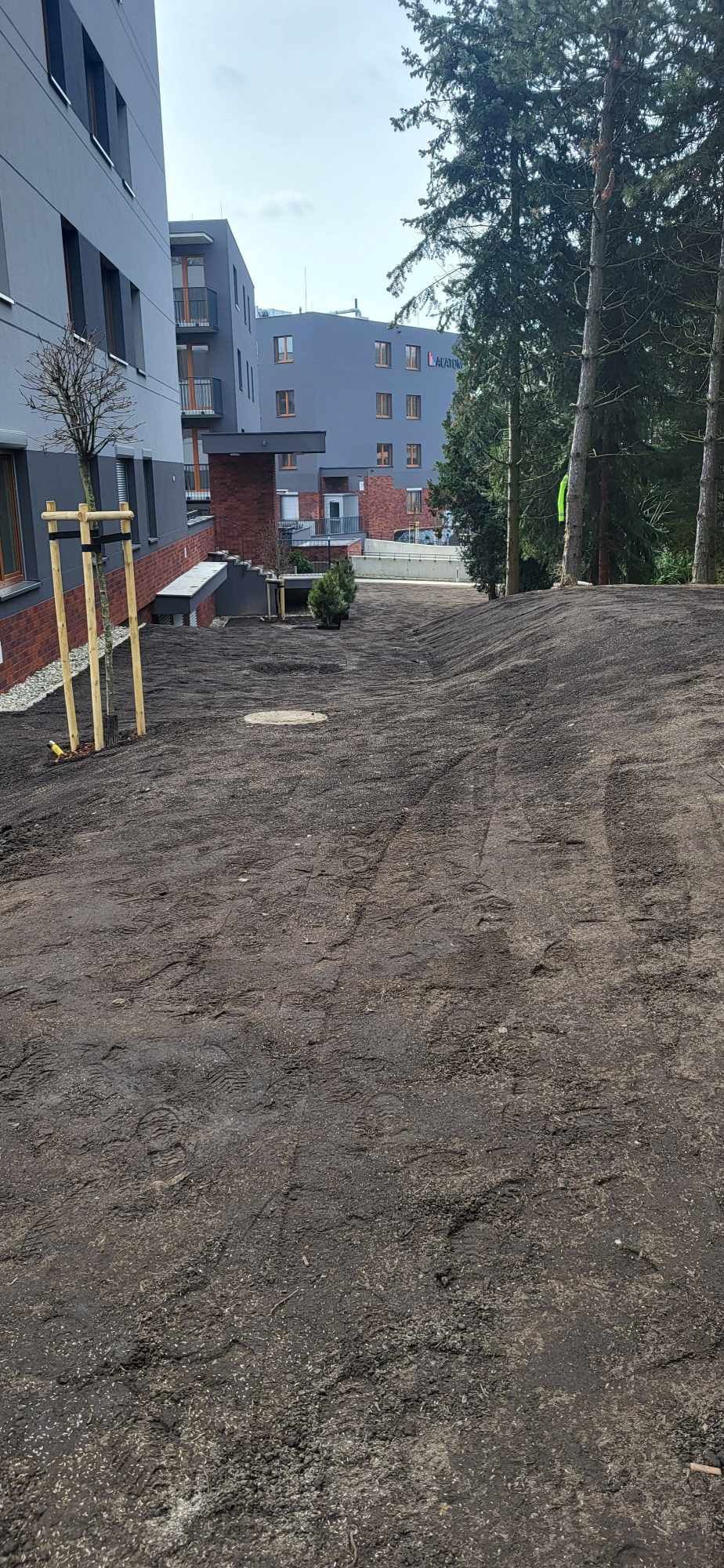 Prace ziemne, usługi koparką