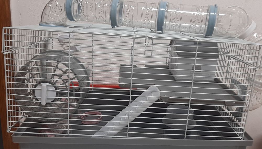 Gaiola  para pássaros/papagaio mesmo novo