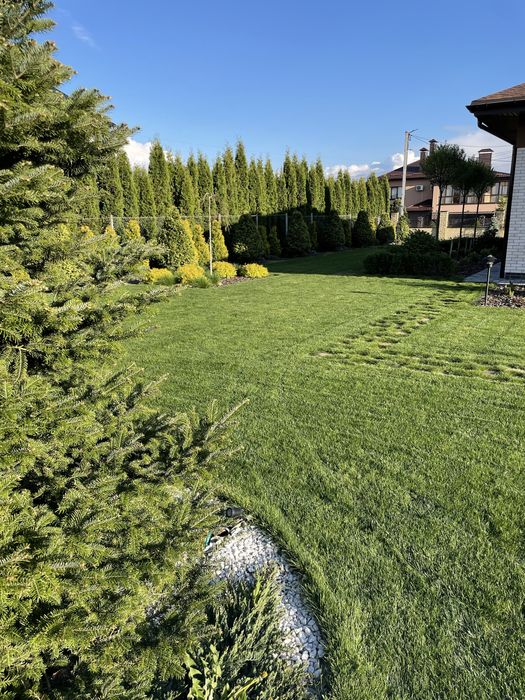 Скарифікація газону