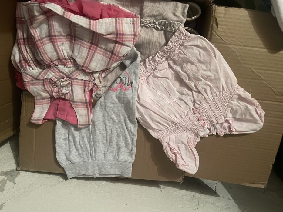 Oddam za karme dla schroniska