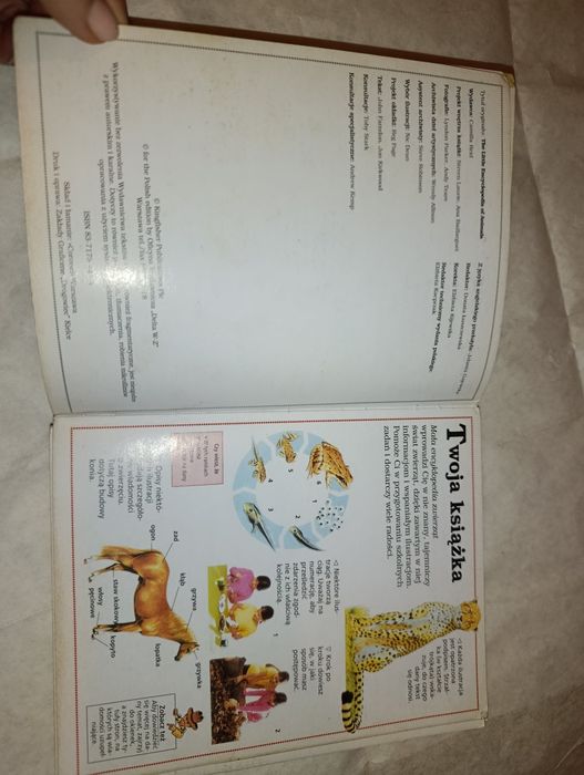 Mała encyklopedia zwierząt - Camilla Reid, Donata Łuszczewska