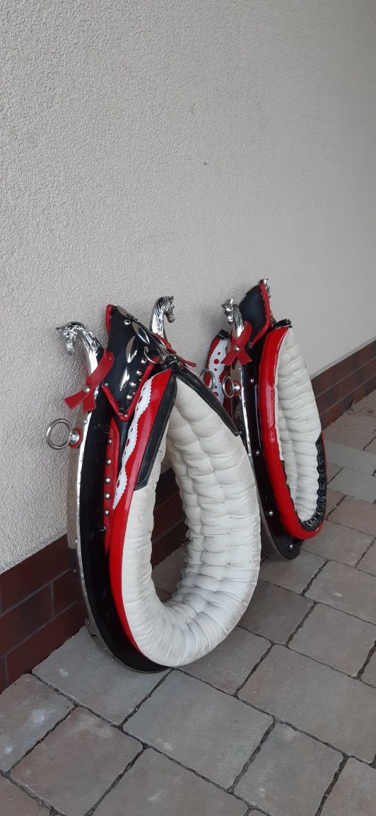 Chomonto  z podkładem