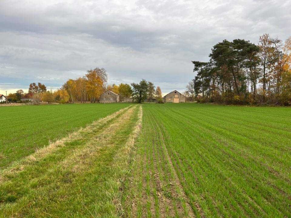 Sprzedam siedlisko wraz z ziemią 3ha we wsi Mieczyno, gmina Starożreby