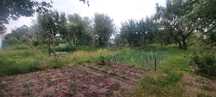 Продам дачный участок в Солоницевке