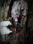 Naszyjnik amulet muchmor z minerałami