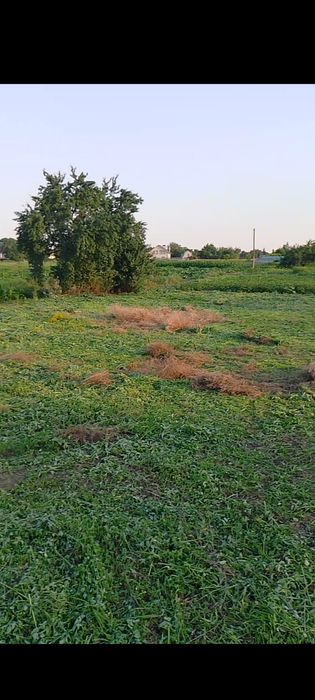 Продам земельну ділянку в Глибічці