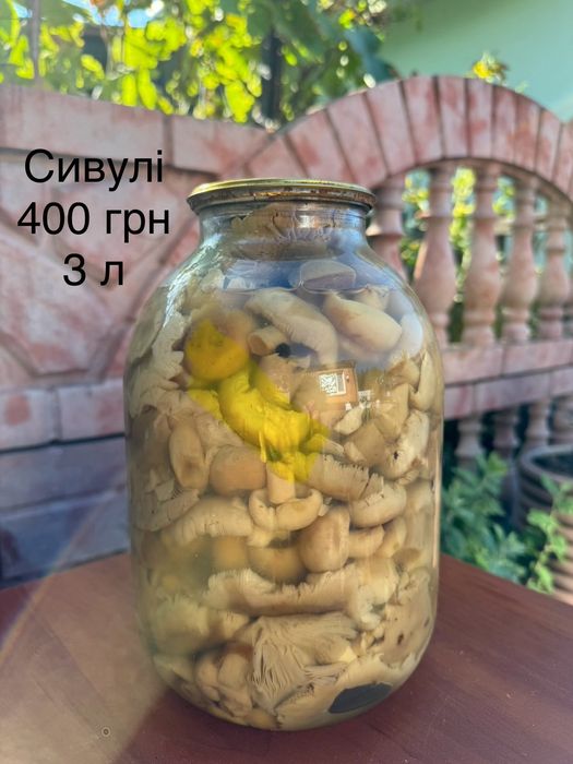 Грибв маринованые