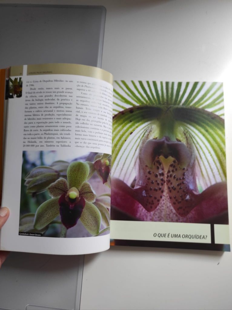 Livro A Paixão pelas Orquídeas