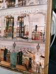Livro 366 páginas...luxury stores