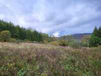 Dzialka Smerek Bieszczady
