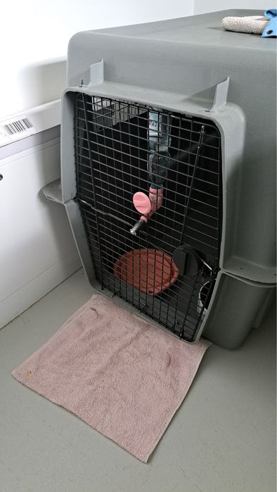 Sky kennel giant petmate dla duzego psa drybed