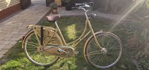 Rower damski Gazelle Basic 28