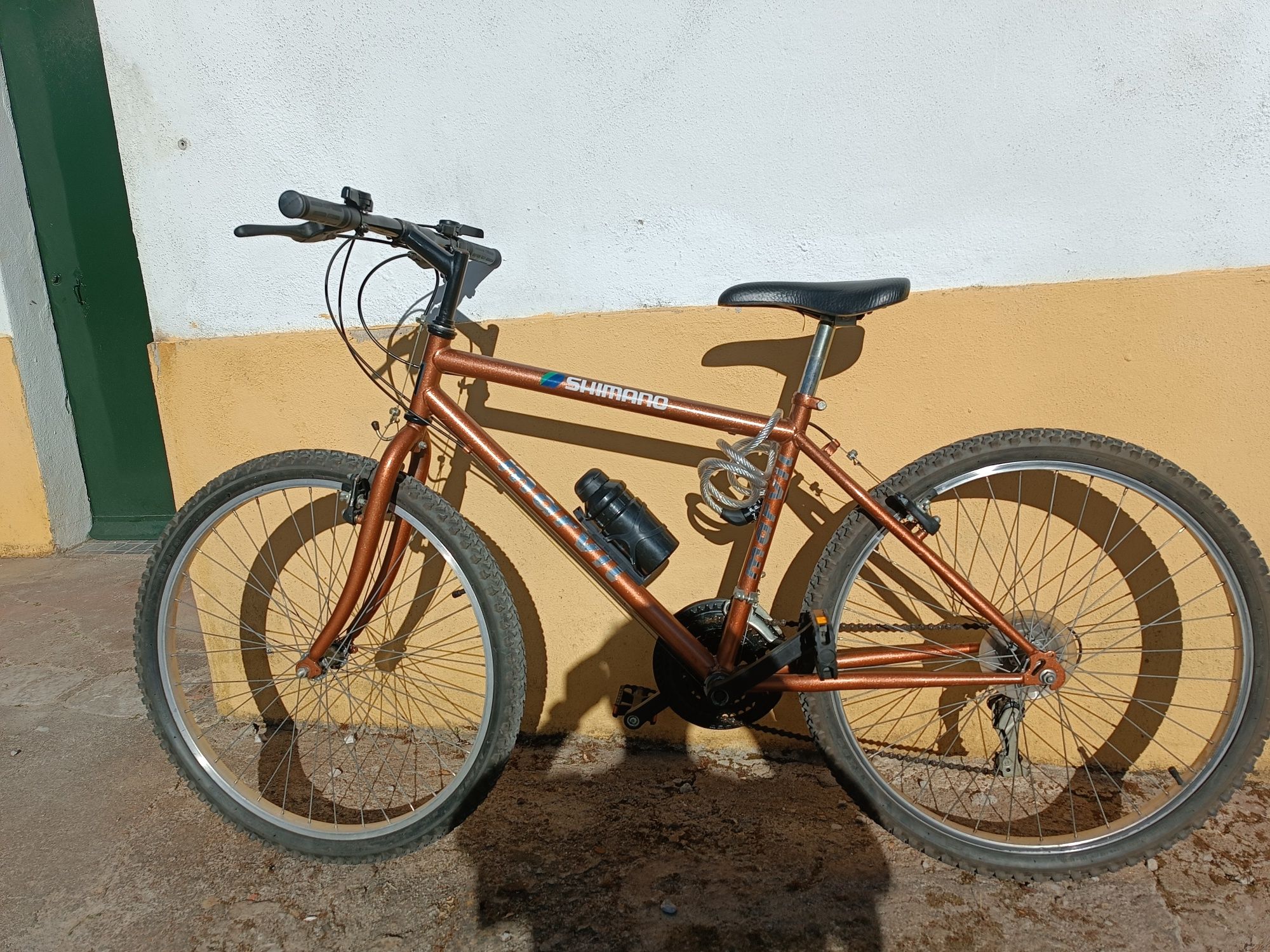Bicicleta BTT montanha