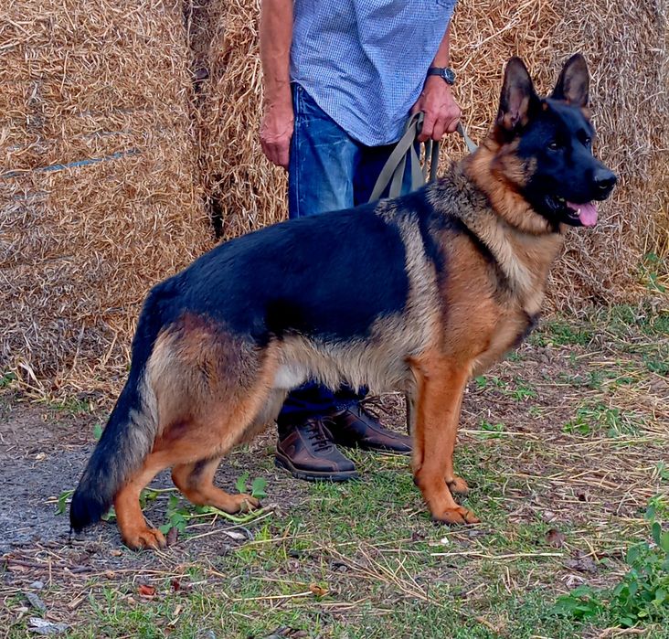 Открыта бронь .Есть мальчики и девочки.