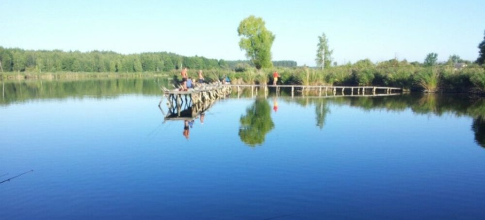 ‼️ Продаж земельної ділянки 16 соток – с. Козинці, Бучанський район ‼️