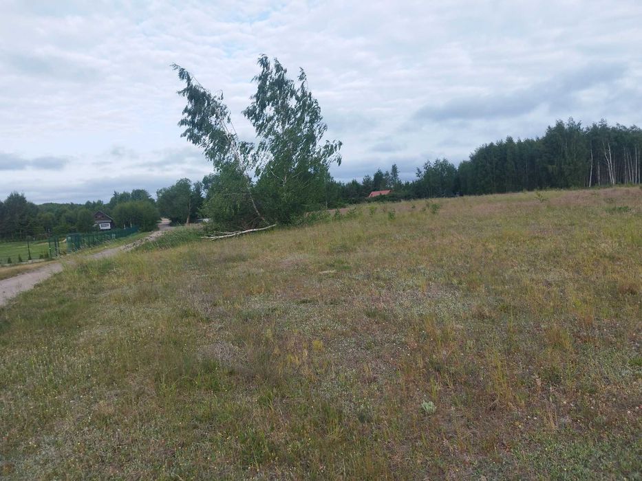 Działka Budowlana Pilchy nad Jez Roś Półwy na wzgórzu777m2 200m od Jez