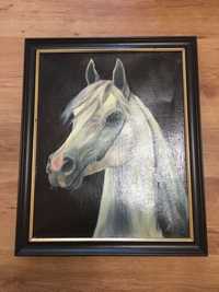 Obraz Koń obraz w ramie