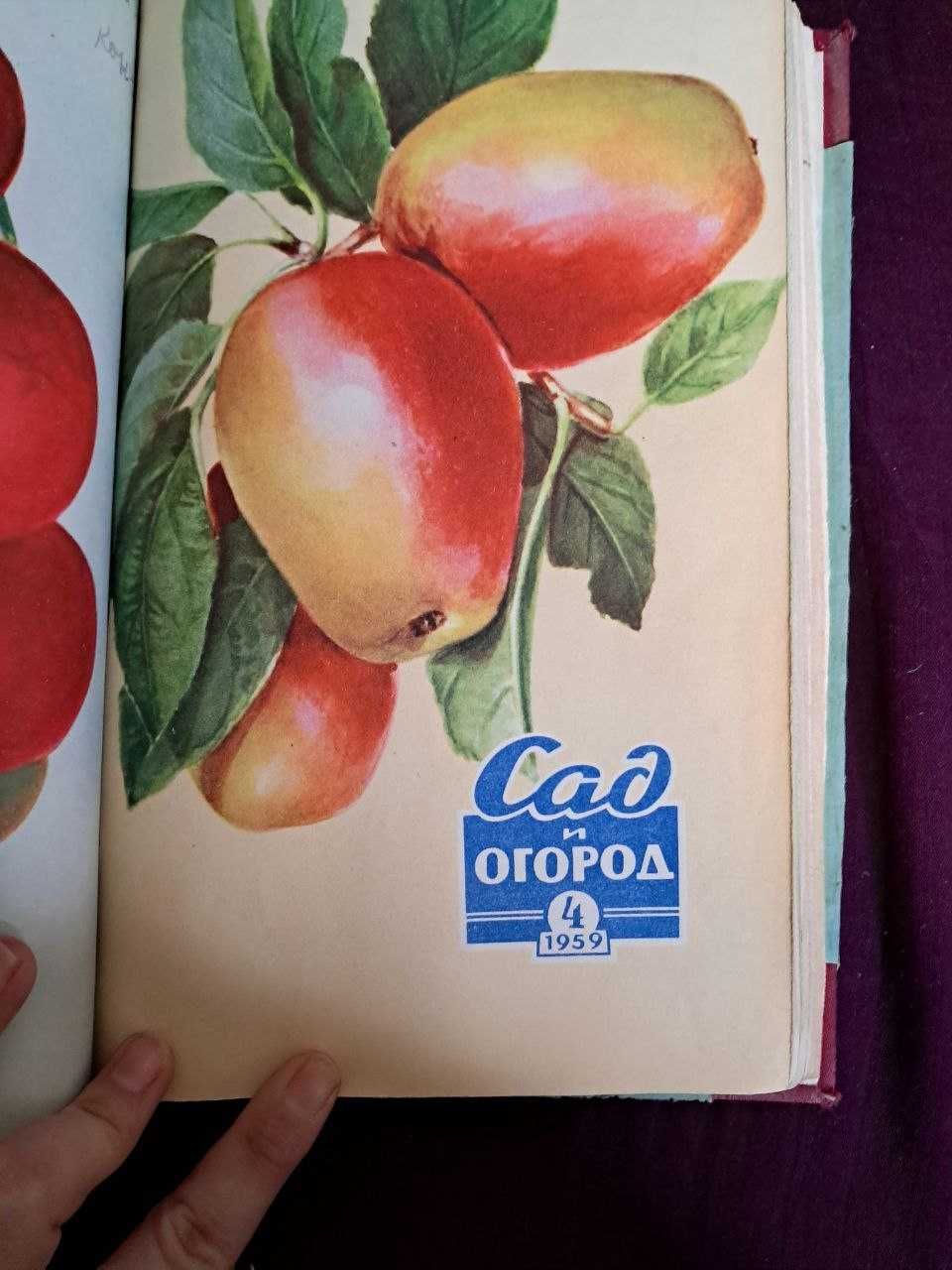 Раритетні номери журналів "Сад та Город" (1959 рік)