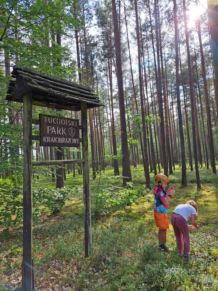 Pokoje nad jeziorem,prywatna plaża,kajaki,SUP,Bory Tucholskie