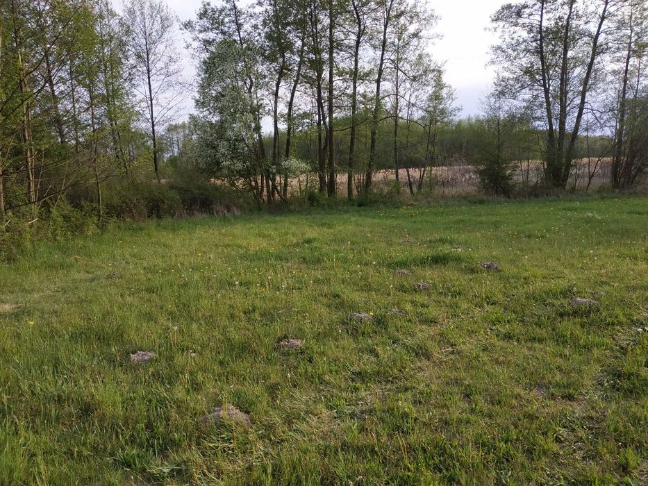 Działka ŚWIERKOWO/W-wa, Legionowo, Pułtusk, Maków, Wyszków, Nasielsk
