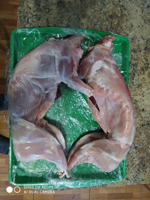 Кролик.М'ясо.Тушка