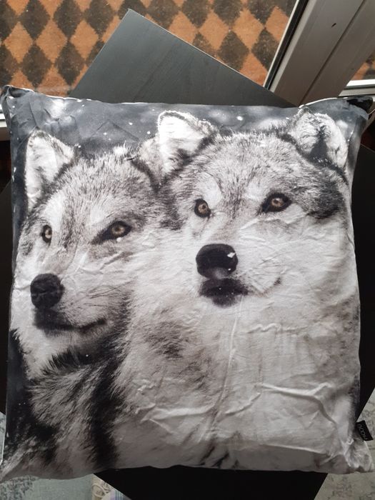 Bawełniana poduszka z wypełnieniem z pierza- psy husky