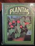 Plantas dentro de casa