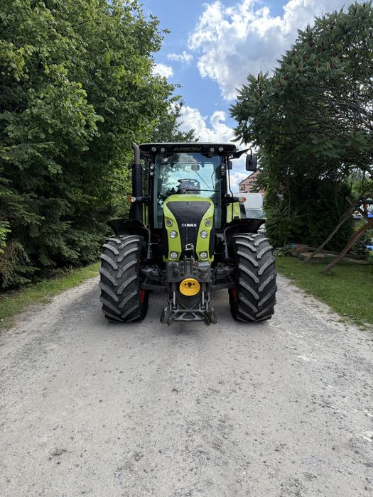 Claas Arion 650 cie tuz wom pneumatyka amortyzacja 50kmh