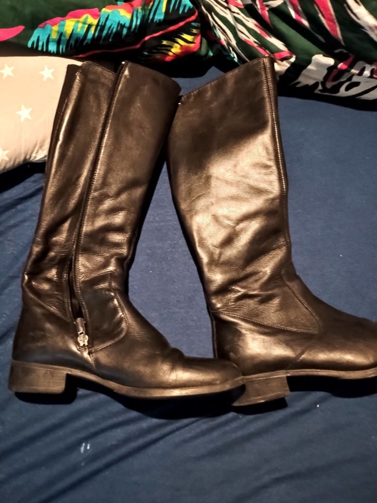 Kozaki Lasocki r.  40