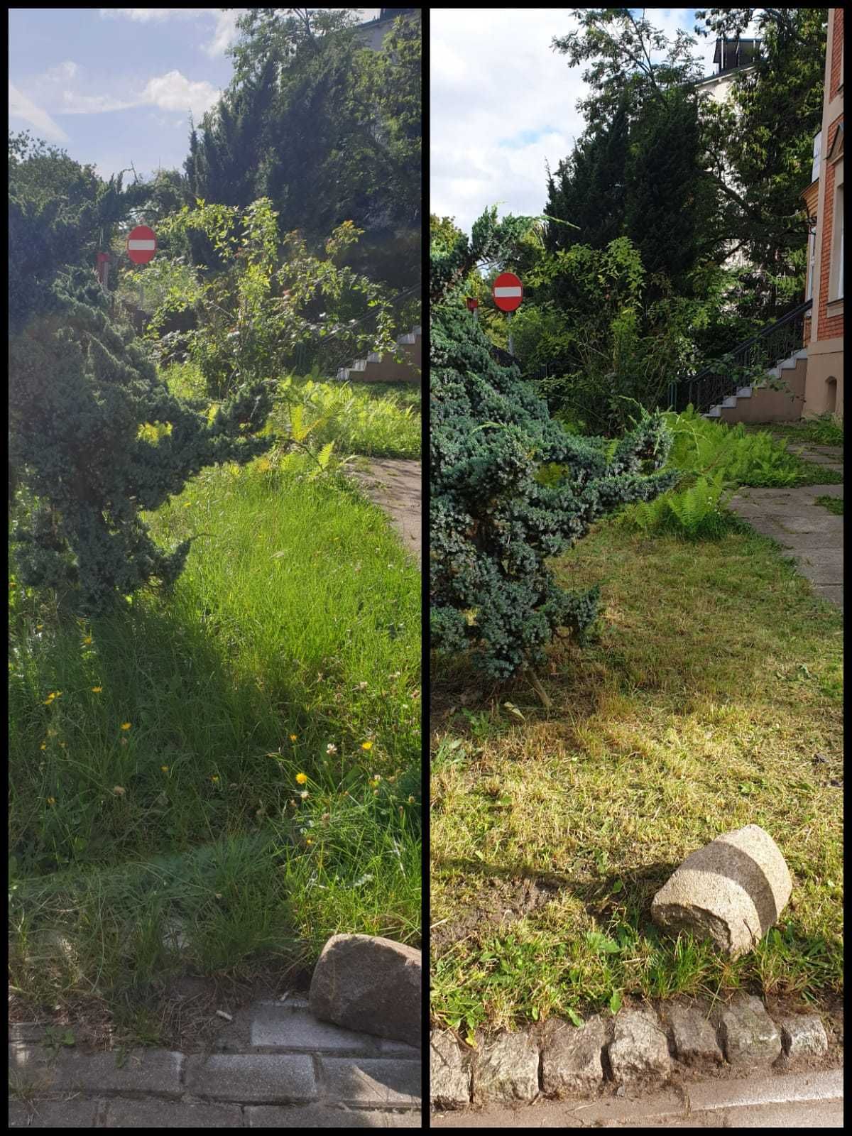 Koszenie trawy / Przycinanie krzewów / Pielęgnacja zieleni