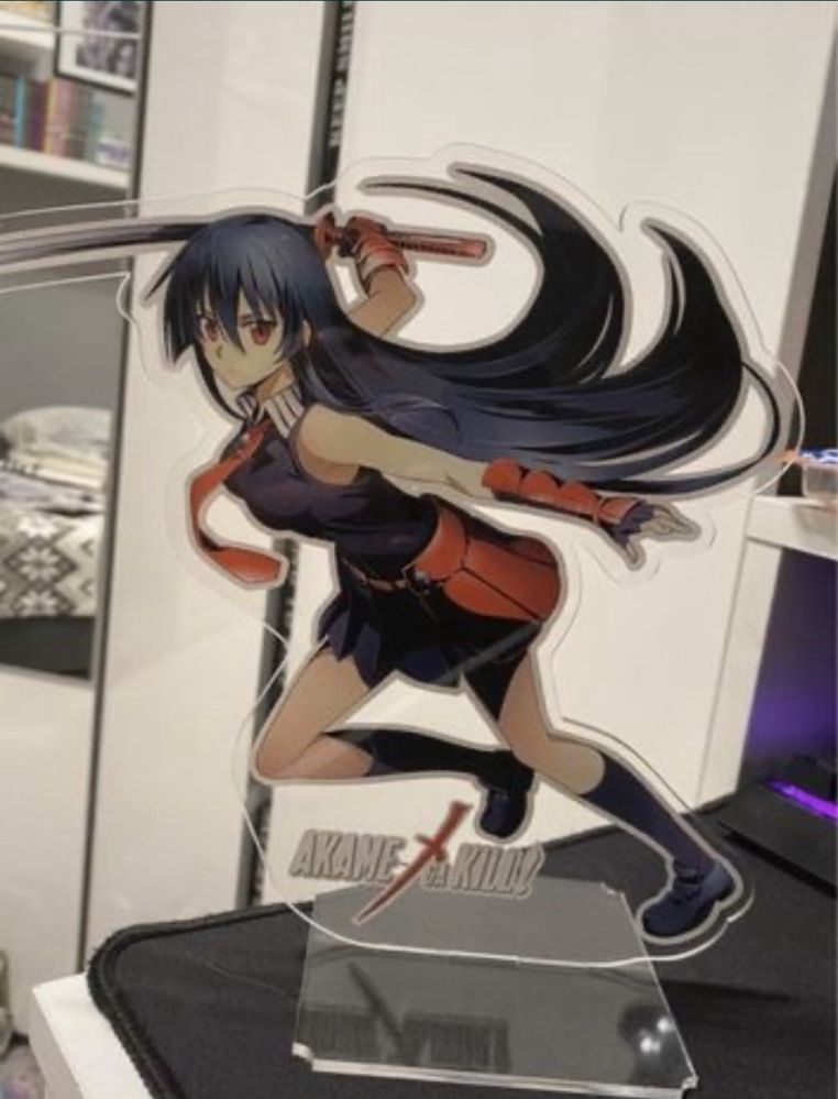 Akame Ga kill figurka plexi