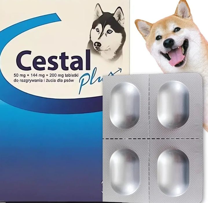 Cestal plus dla psa 13tabletek
