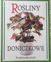 Rośliny doniczkowe