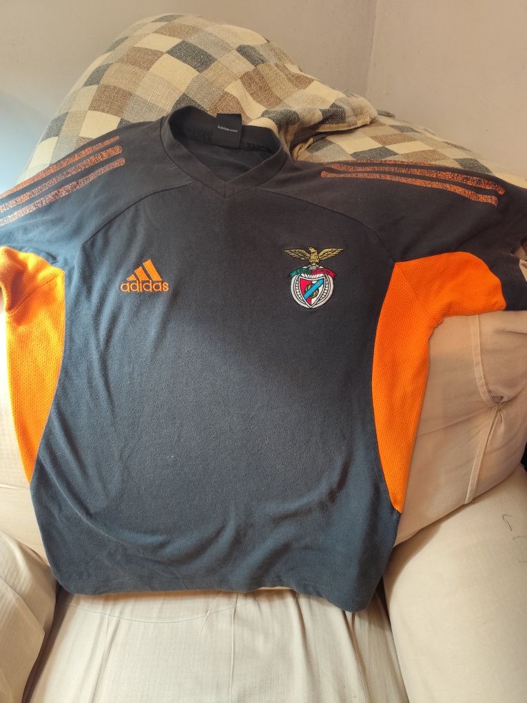 Camisola do Benfica catorze anos