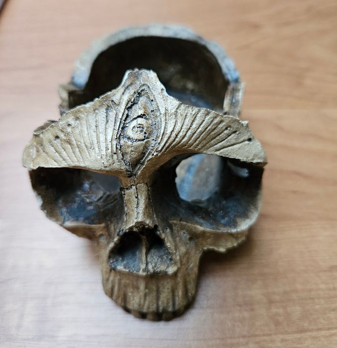 Unikatowa popielniczka czaszka