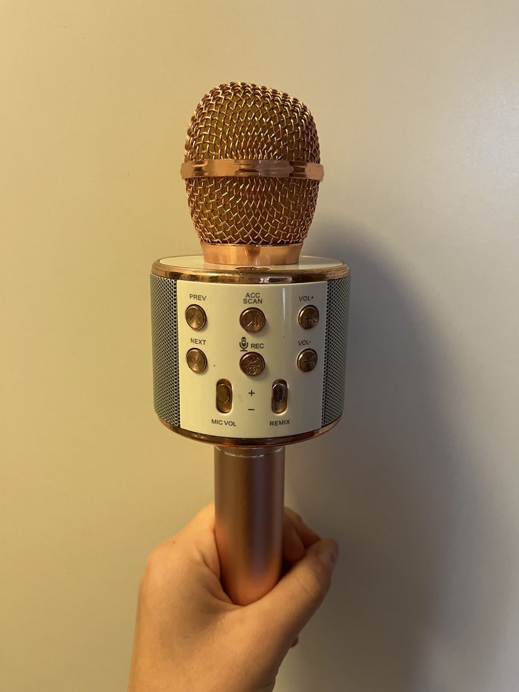 Mikrofon karaoke