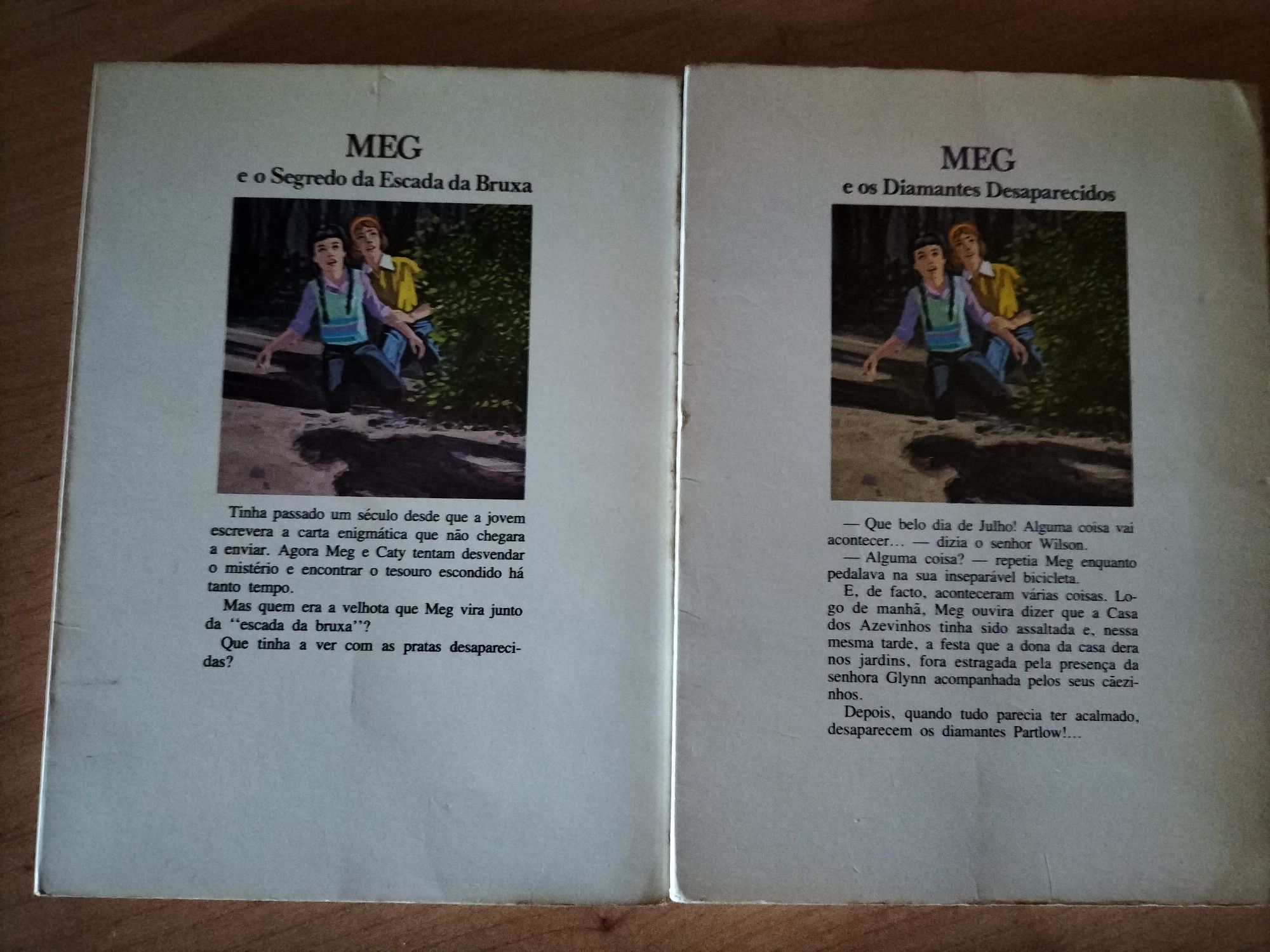 2 livros MEG, de Holy Beth Walker