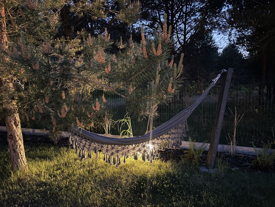 Wynajem domku Pine House Ostrowo -Jastrzębia Góra