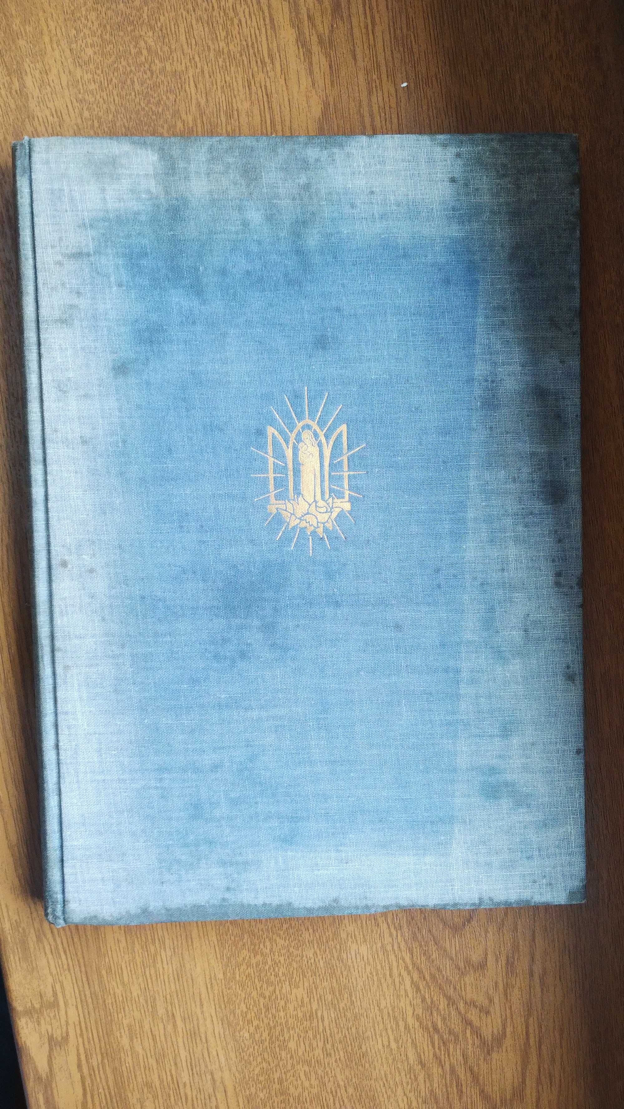 Książka międzywojenna po niemiecku z 1928 roku antyk