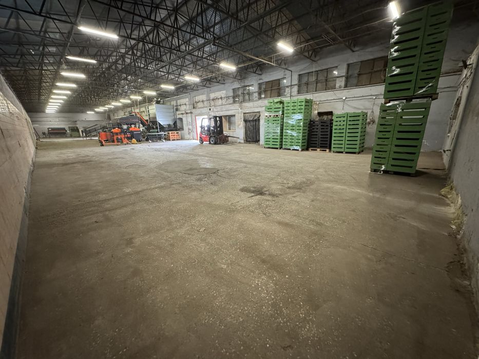 Wynajmę hale chłodnie magazyny