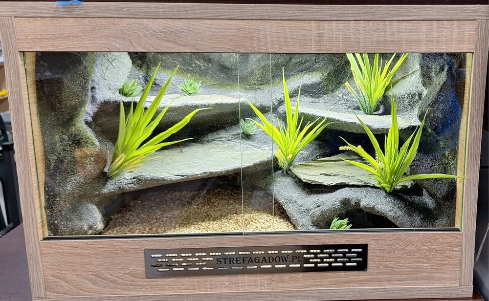 Terrarium dla gekona lamparciego 60×40×40 nowe