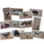 Unikatowe figurki schleich