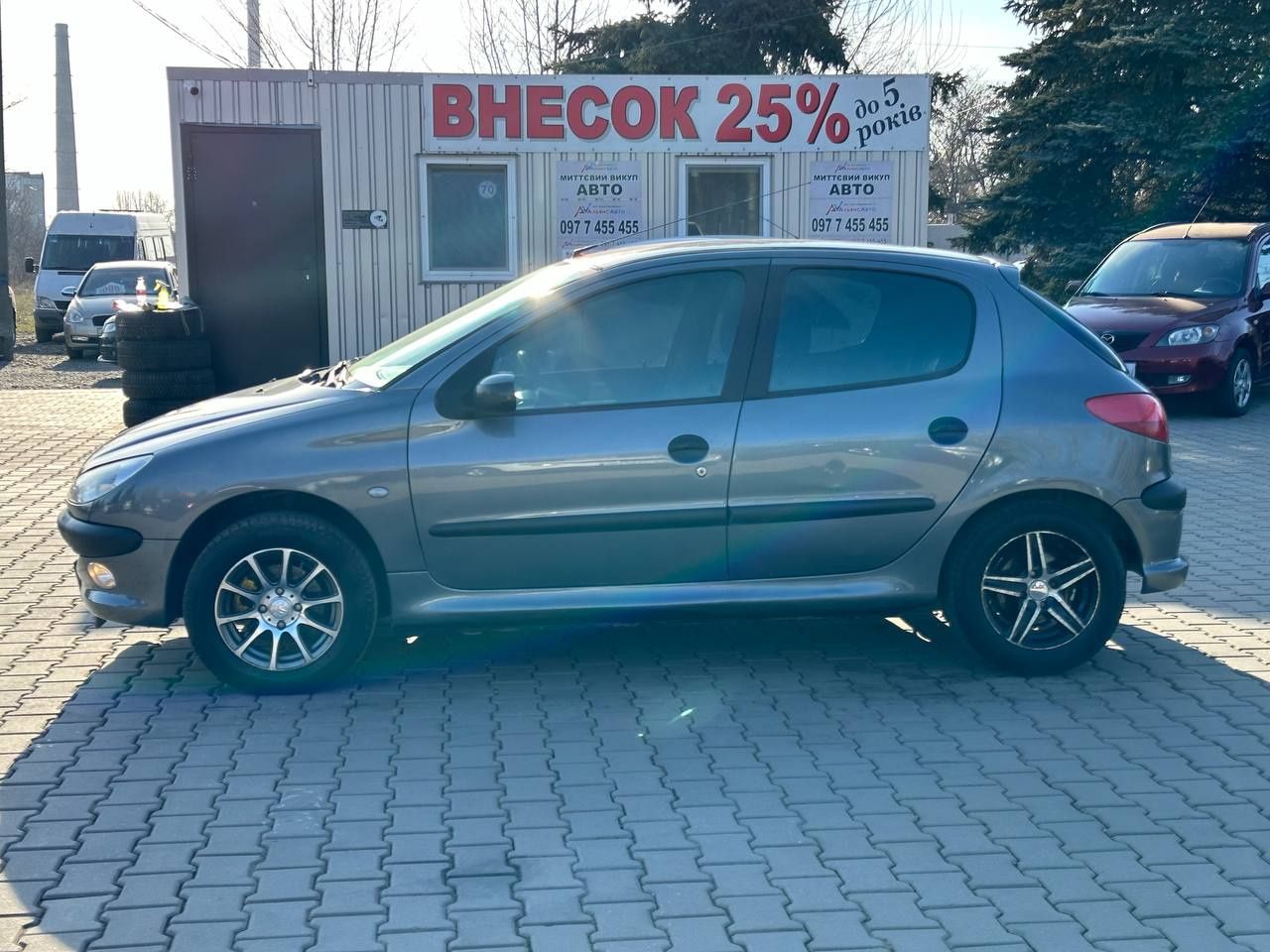 Peugeot (22) 206 (ВНЕСОК від 15%) Альянс Авто Кривий Ріг