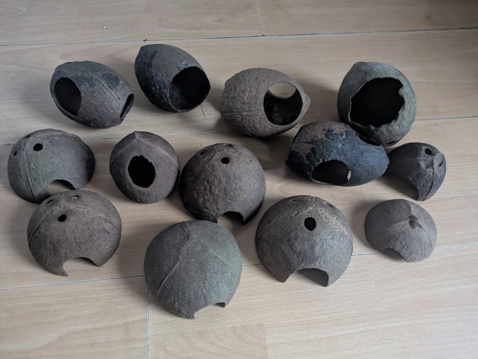 13 Kryjówek z kokosu - różne rodzaje