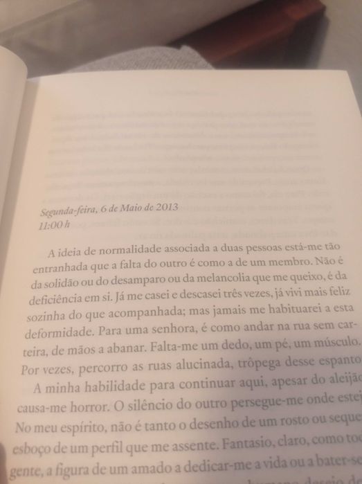 Livro Veneza pode esperar, de Rita Ferro