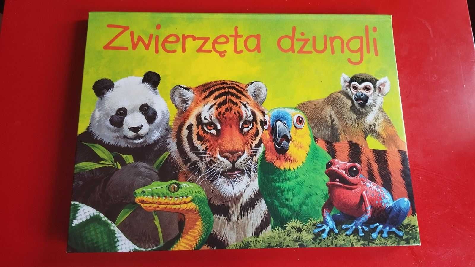 Zwierzęta dzungli książkа pop-up