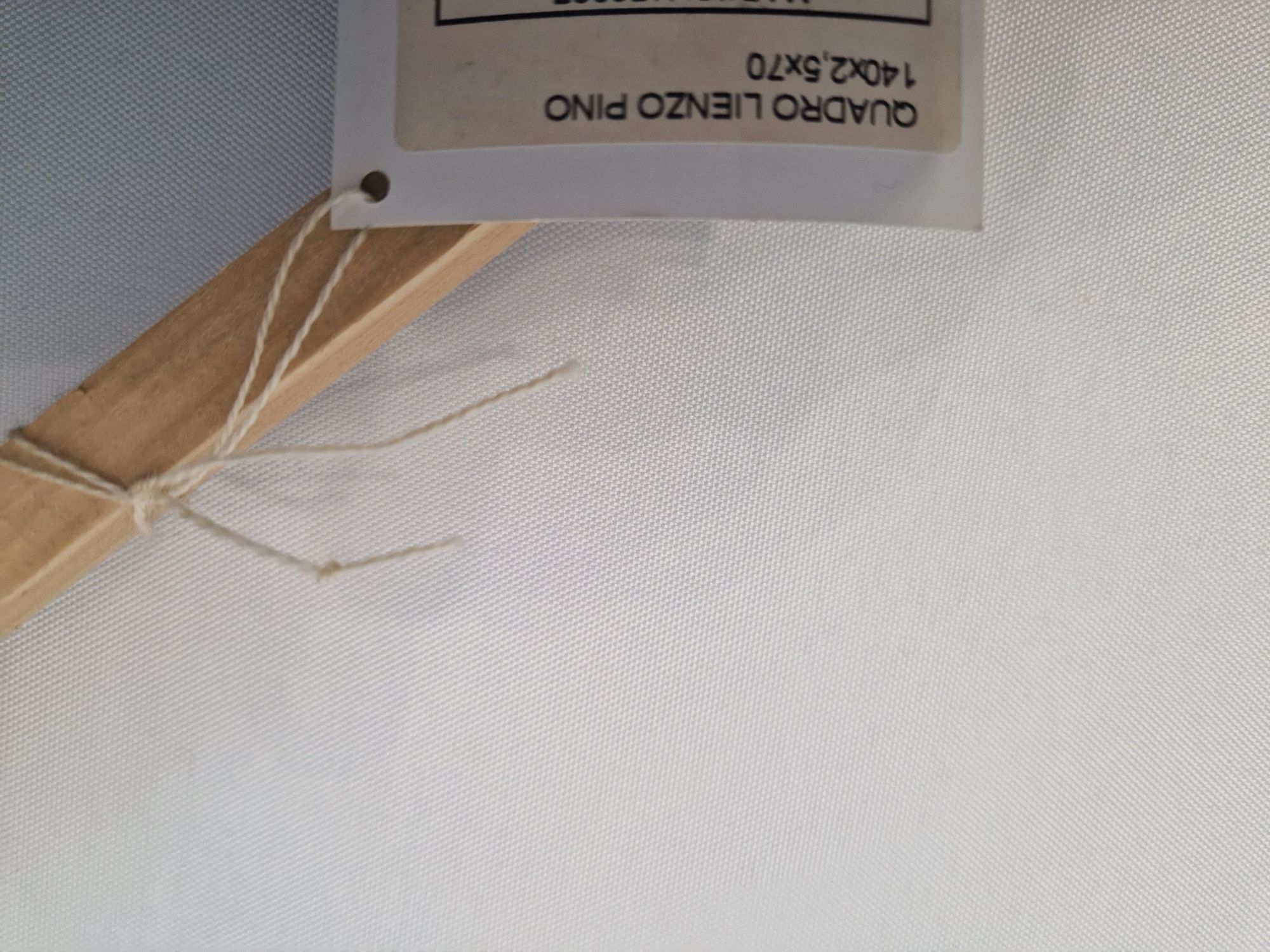 Quadro Lienzo Pino 140x2,5x70