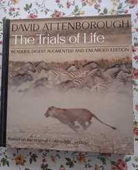 David Attenborough The Trials of Life
