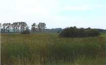 Okazja Działka 19900 m2 Kazimierz