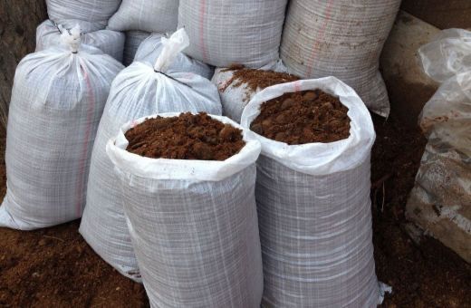 Конский навоз перегной